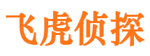 融水侦探公司